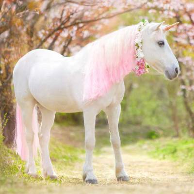 Une licorne rose dans un bois