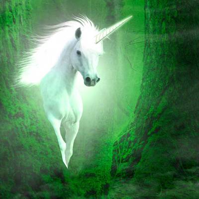 Une licorne dans une forêt verte