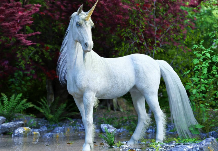 une licorne seule de profil gauche